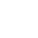 Activity